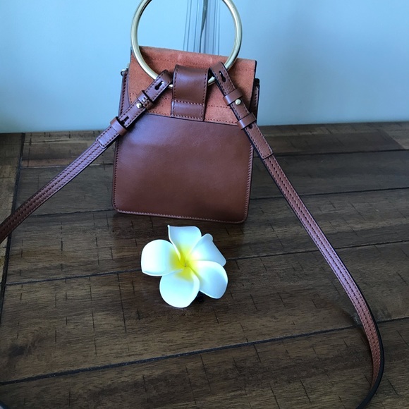 Chloe - Picture 2 of 8